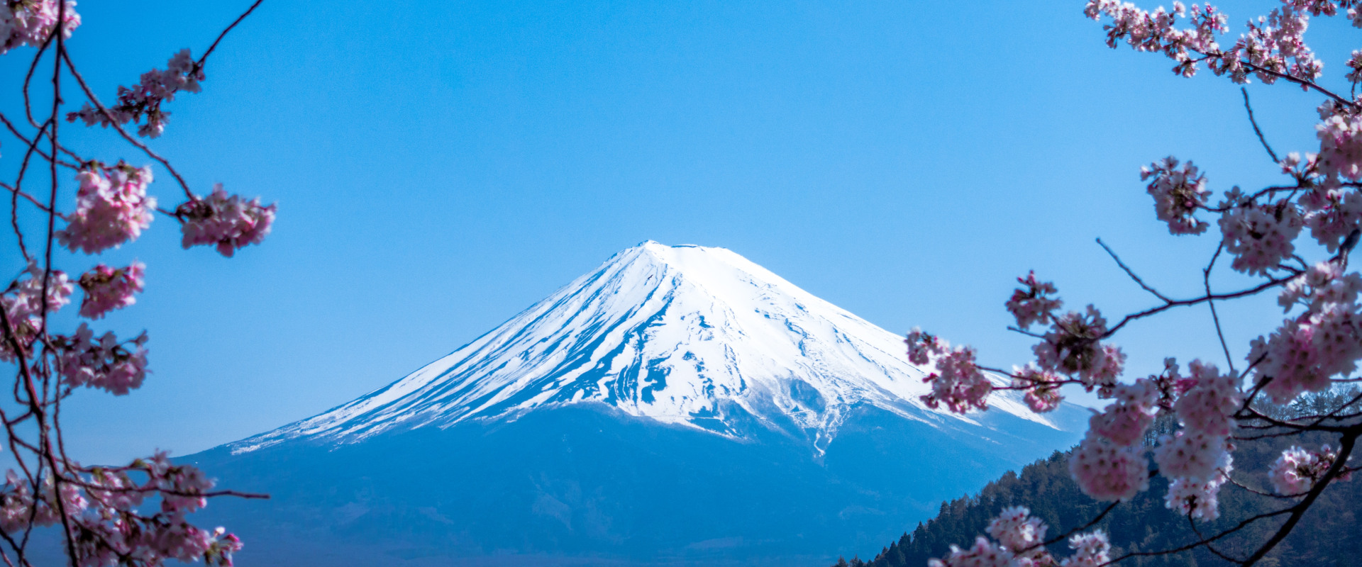 Découvrez les merveilles des études à l'étranger en Asie